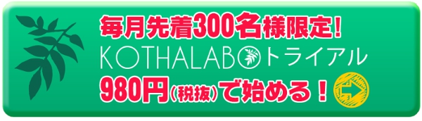 KOTHALABO(�R�^���{)�����T�C�g��