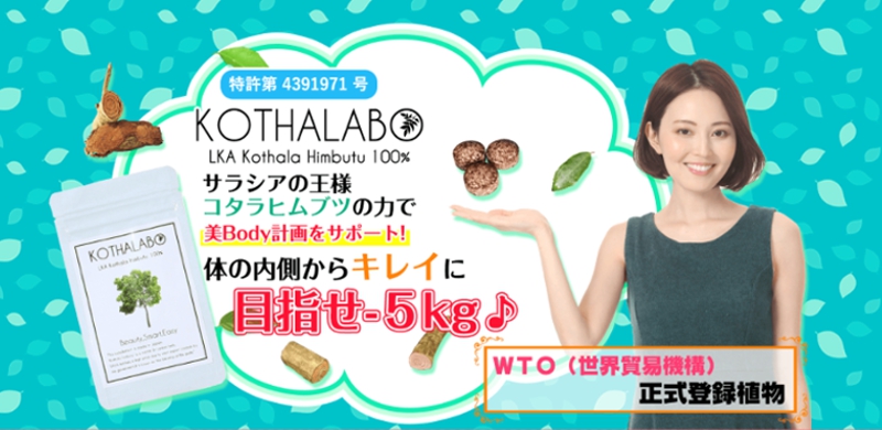 KOTHALABO(�R�^���{)���T�C�g